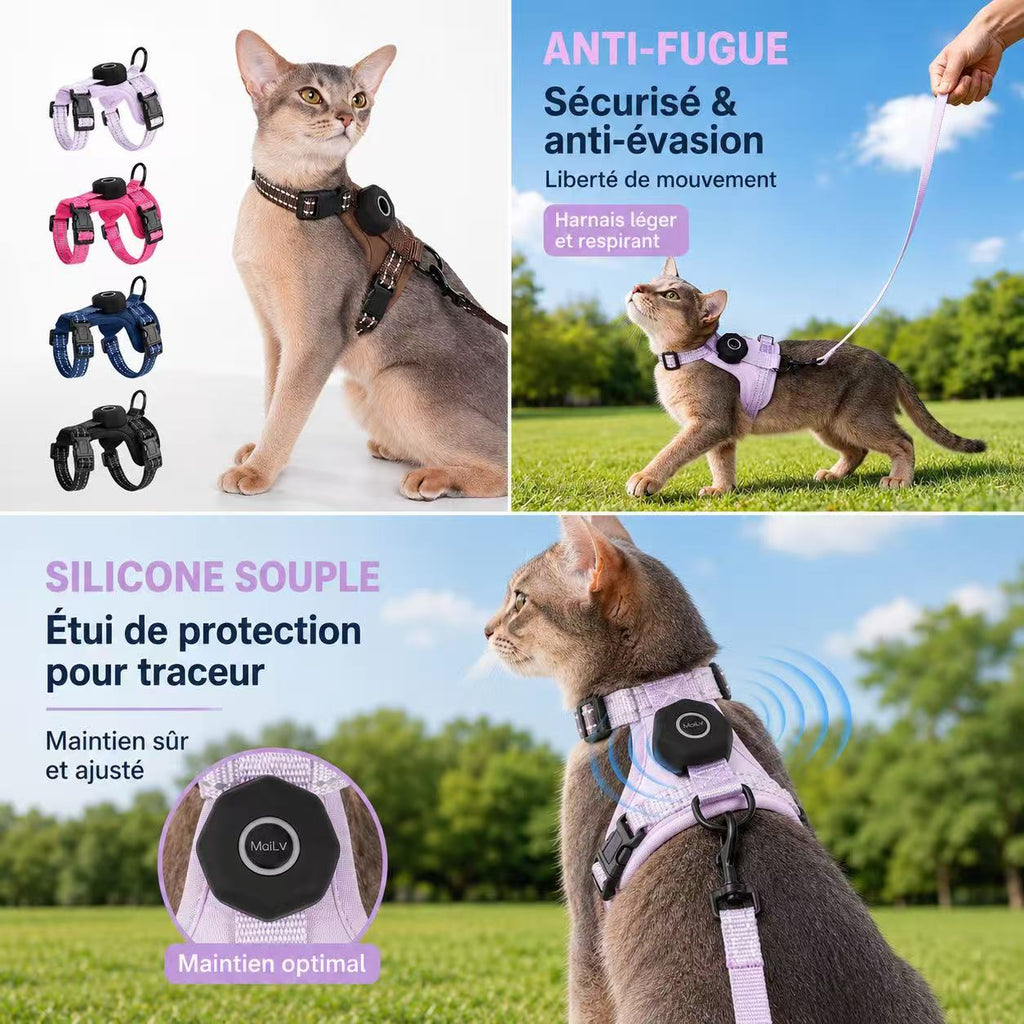 Harnais chat anti-fugue avec étui pour traceur