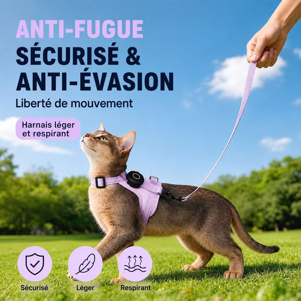 Harnais chat anti-fugue avec étui pour traceur