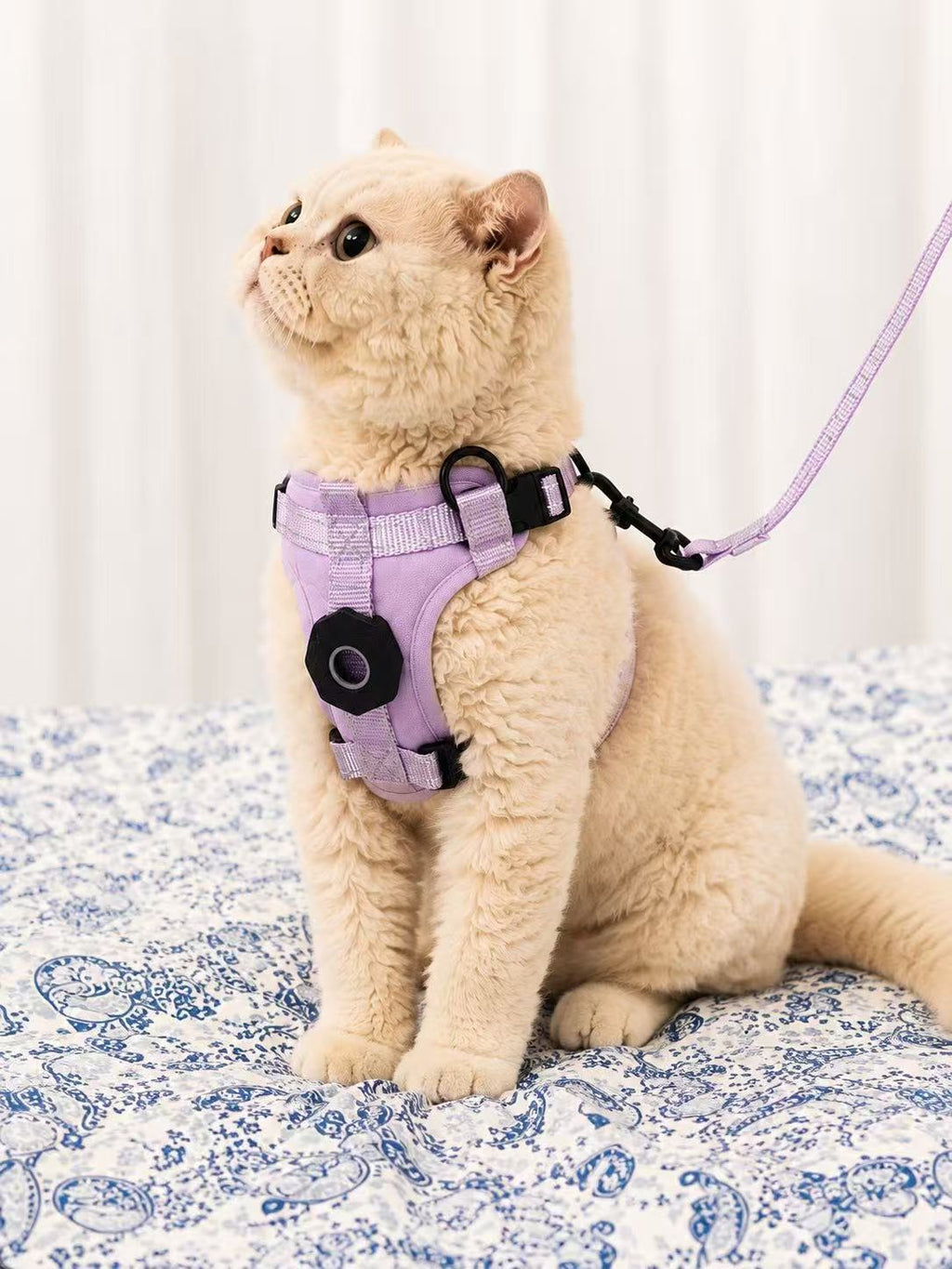 Harnais chat anti-fugue avec étui pour traceur